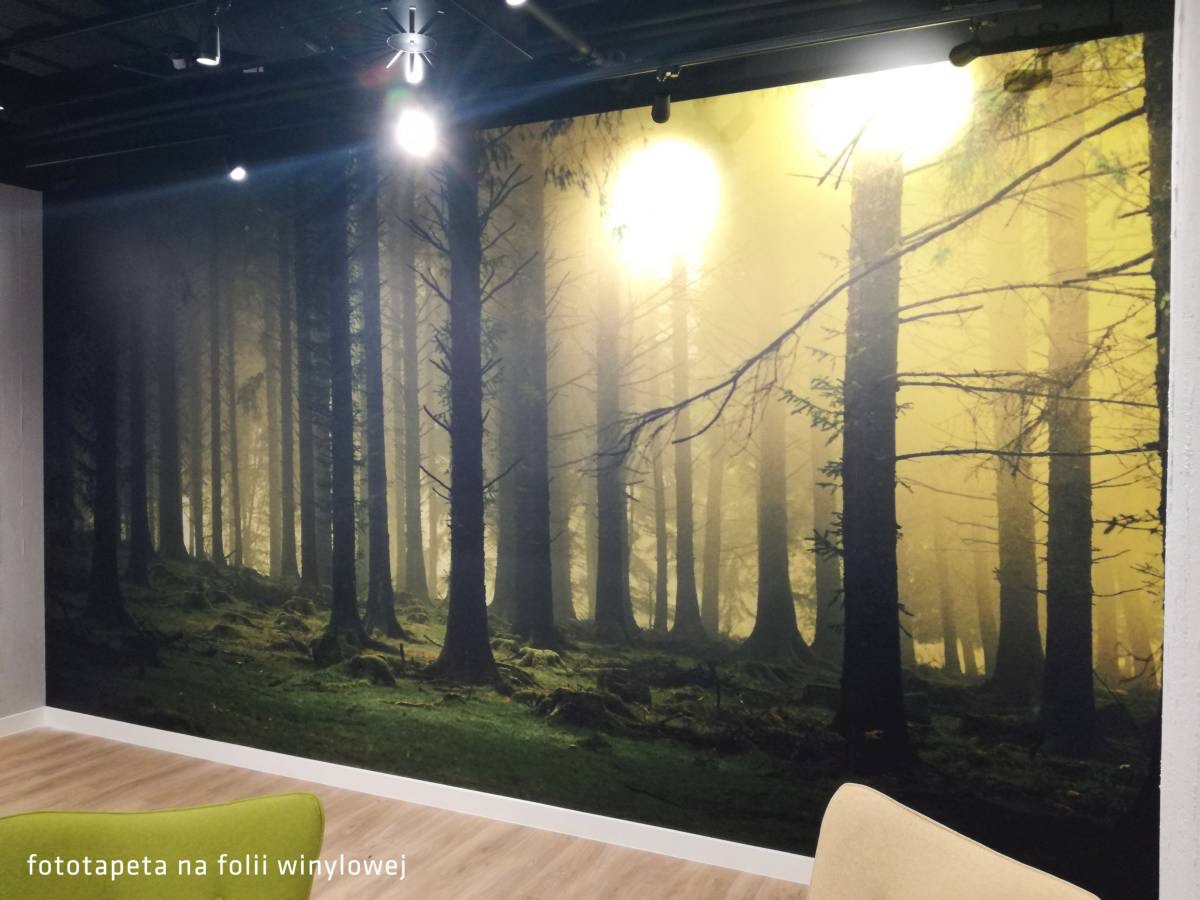 Fototapeta z motywem mglistego lasu iglastego na ścianie, widoczne oświetlenie sufitowe i fragmenty mebli.
