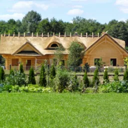 Drewniany dom z nietypowym, strzechowym dachem w trakcie budowy, widoczna konstrukcja dachu. Tło: zielony las i trawnik. Ujęcie z poziomu trawy.