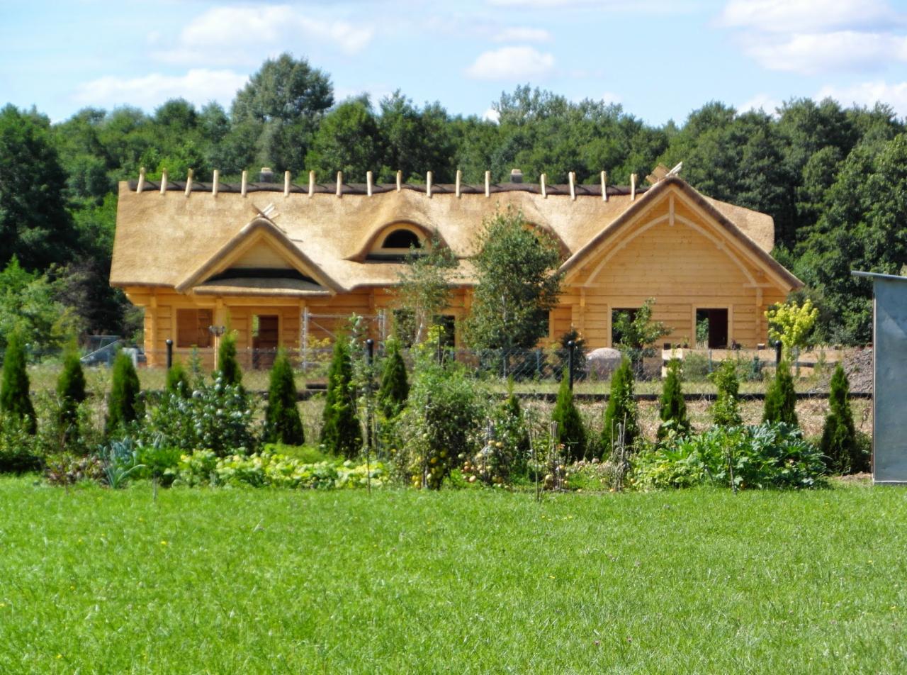 Drewniany dom z nietypowym, strzechowym dachem w trakcie budowy, widoczna konstrukcja dachu. Tło: zielony las i trawnik. Ujęcie z poziomu trawy.