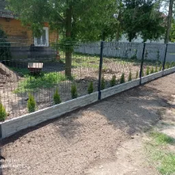 Nowoczesne ogrodzenie panelowe z podmurówką betonową i młodymi tujami, widok z zewnątrz posesji na tle drewnianego domu.