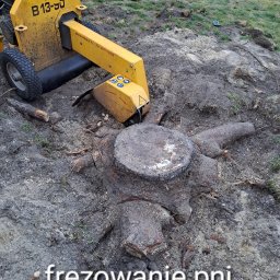 Arboserwis.pl - Rewelacyjna Pielęgnacja Ogrodów Koło