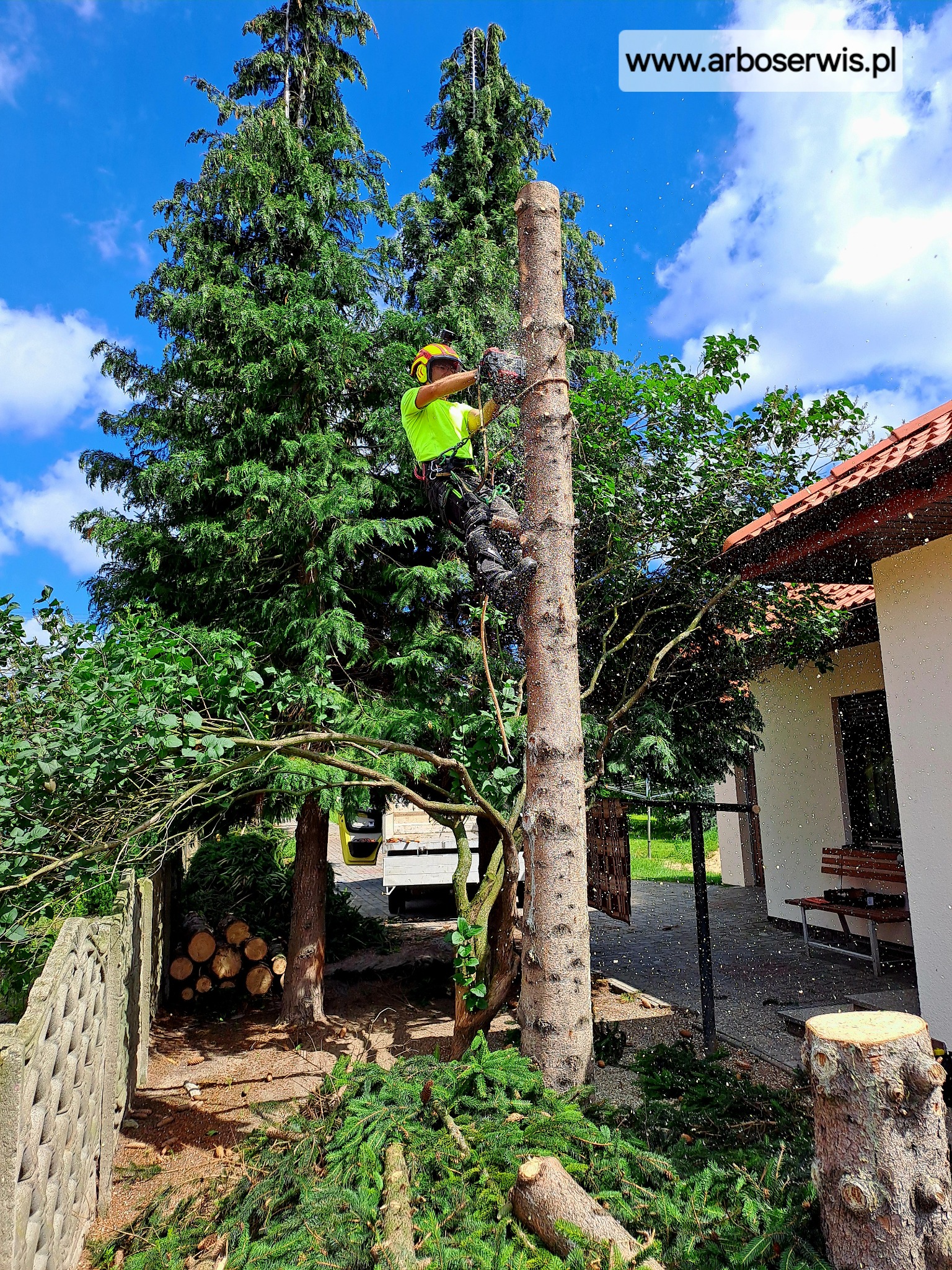 Arborysta w kasku i ubraniu ochronnym, w trakcie cięcia pnia drzewa na wysokości, z widocznymi opiłkami w powietrzu, na tle niebieskiego nieba i zieleni, obok domu z czerwonym dachem, z widocznym...
