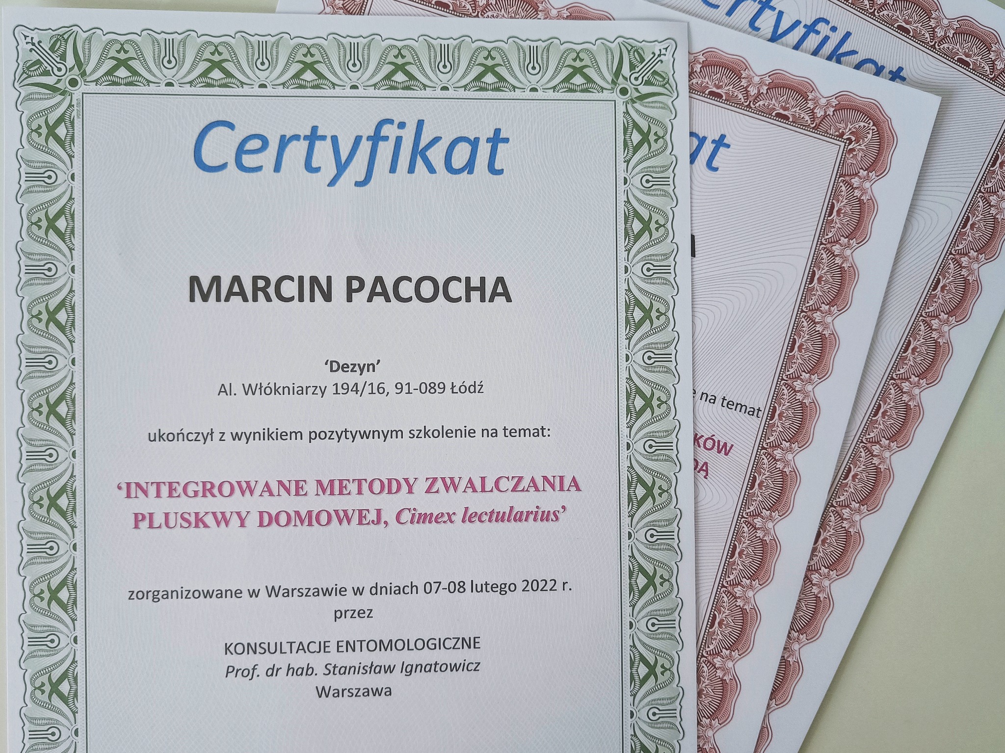 Stos certyfikatów, w tym jeden z zieloną obwódką, potwierdzający ukończenie szkolenia z zakresu zwalczania pluskwy domowej, wydany dla Marcina Pacocha przez Konsultacje Entomologiczne.