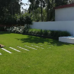 Nowoczesny ogród z równo przystrzyżonym trawnikiem, ścieżką z białych płyt, drewnianym tarasem z pergolą i leżanką, oraz minimalistyczną białą ścianą z roślinami w tle.