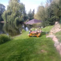 Drewniany st&oacute;ł piknikowy z parasolem nad brzegiem stawu, otoczony zielenią i drzewami.