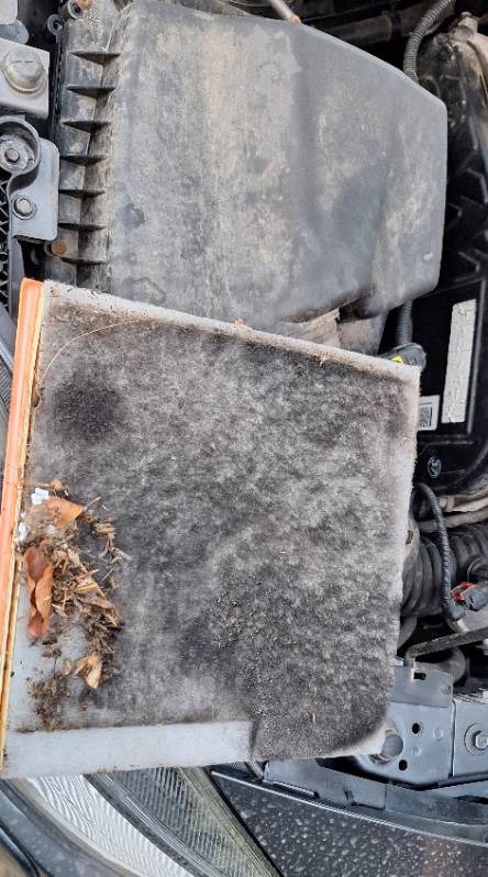 Brudny filtr powietrza samochodowego z liśćmi i kurzem, leżący obok obudowy filtra w komorze silnika. Widoczne elementy silnika i reflektor.