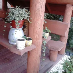 Drewniana altana z półkami, na których stoją doniczki z roślinami, widoczne detale konstrukcyjne i otoczenie ogrodu.