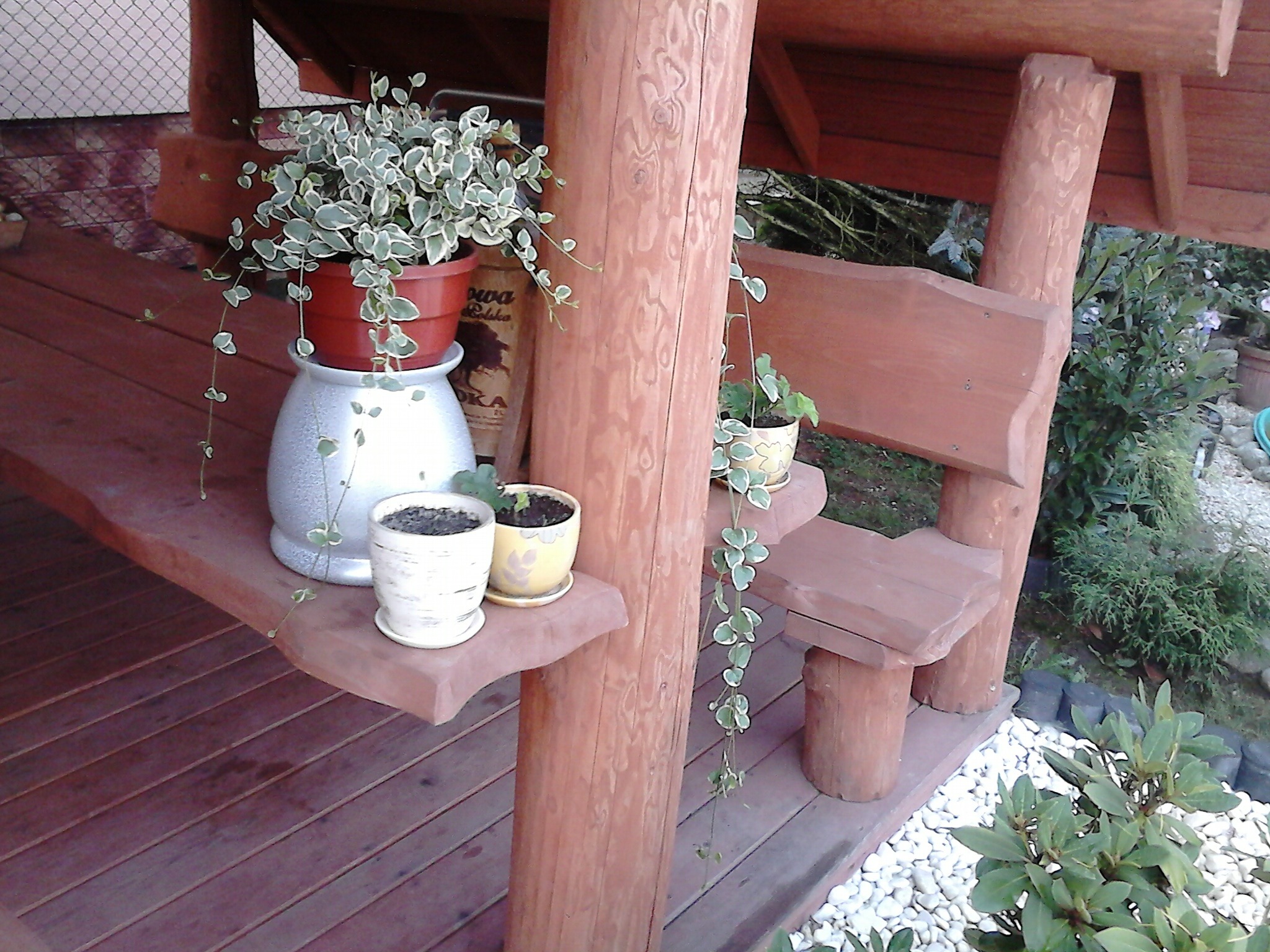 Drewniana altana z półkami, na których stoją doniczki z roślinami, widoczne detale konstrukcyjne i otoczenie ogrodu.