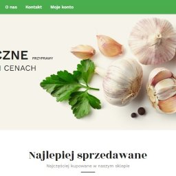 Tworzenie stron internetowych Poznań 2