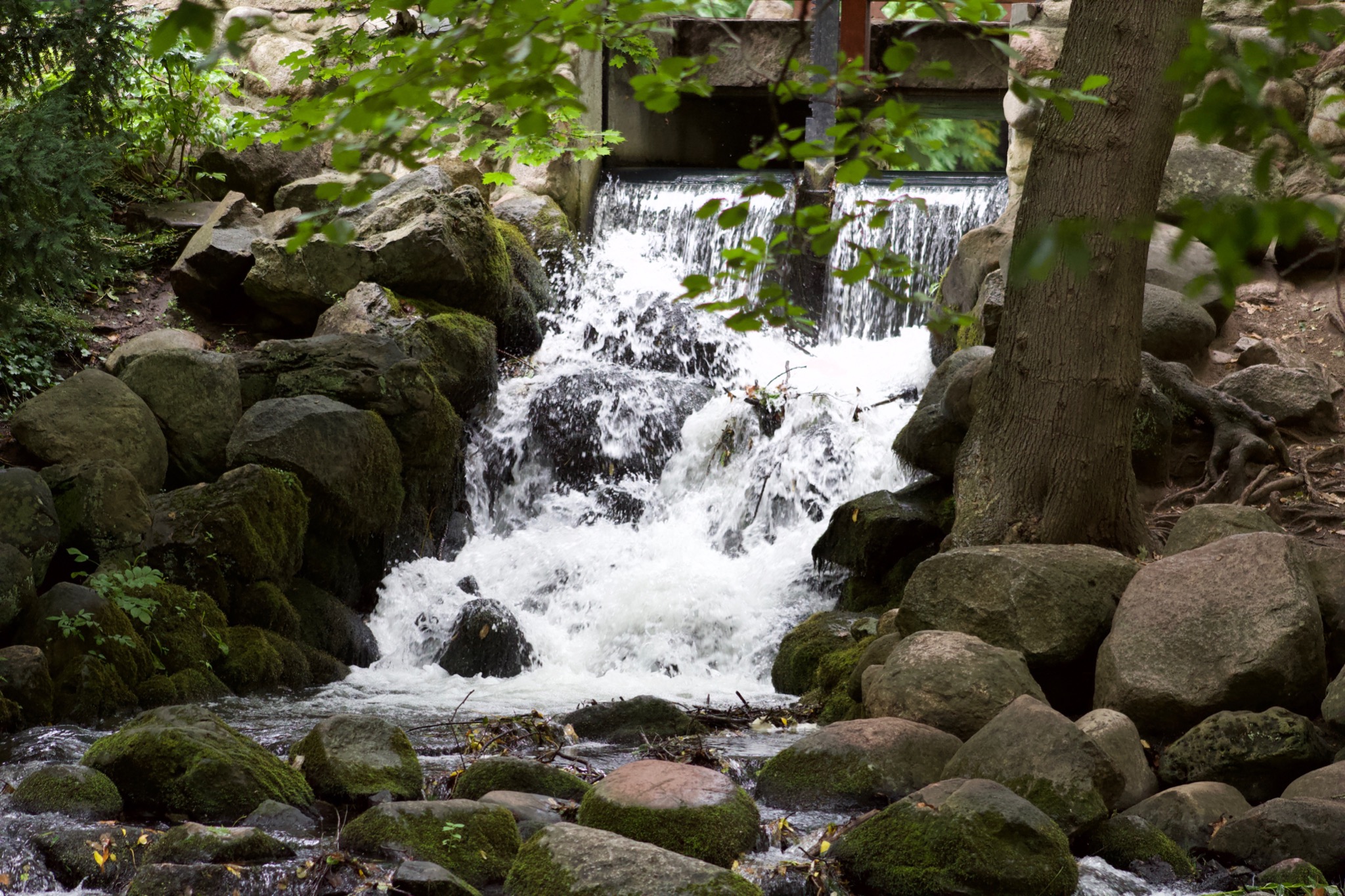 Kaskada wodna z kamieniami porośniętymi mchem, częściowo zasłonięta pniem drzewa i gałęziami z liśćmi.