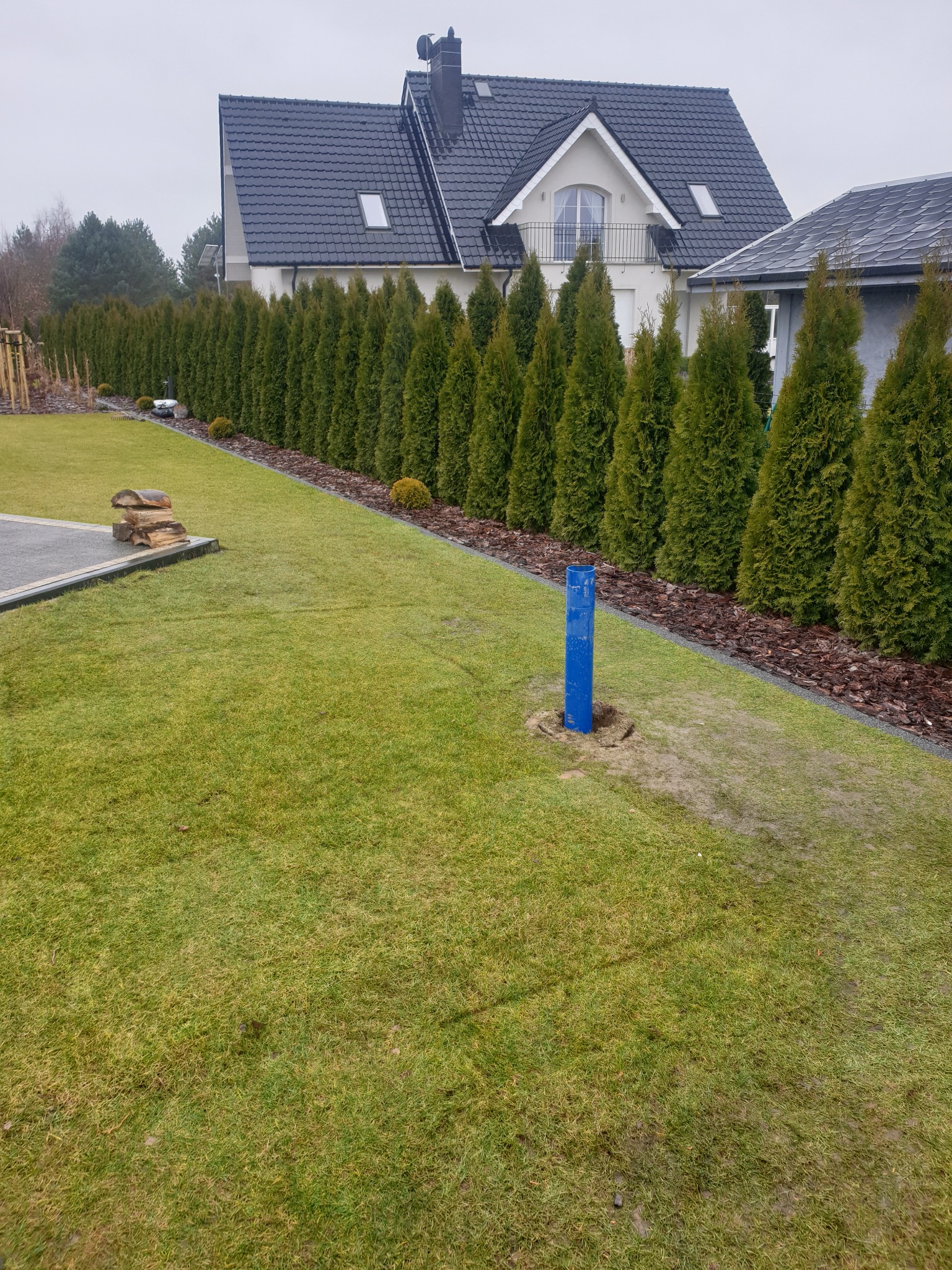 Niebieska rura wystająca z ziemi na trawniku, w tle rząd tuj i dom z ciemnym dachem.