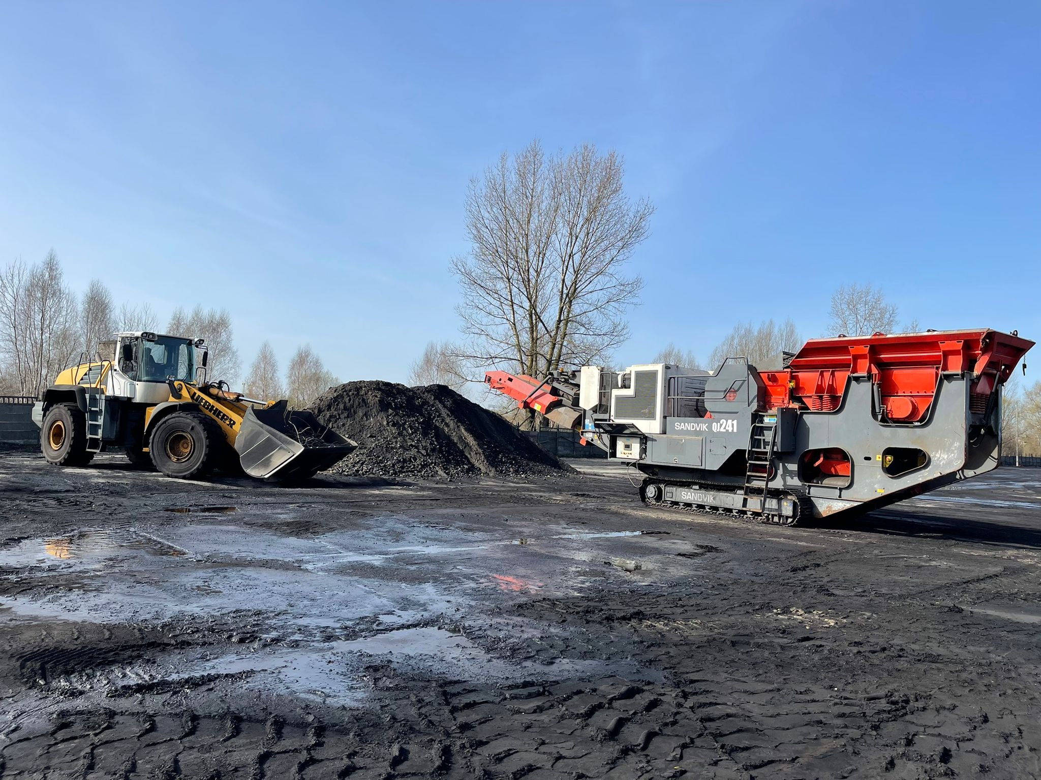 Żółta ładowarka Liebherr i mobilny kruszarka Sandvik QJ241 na błotnistym placu składowania czarnego materiału, prawdopodobnie węgla.