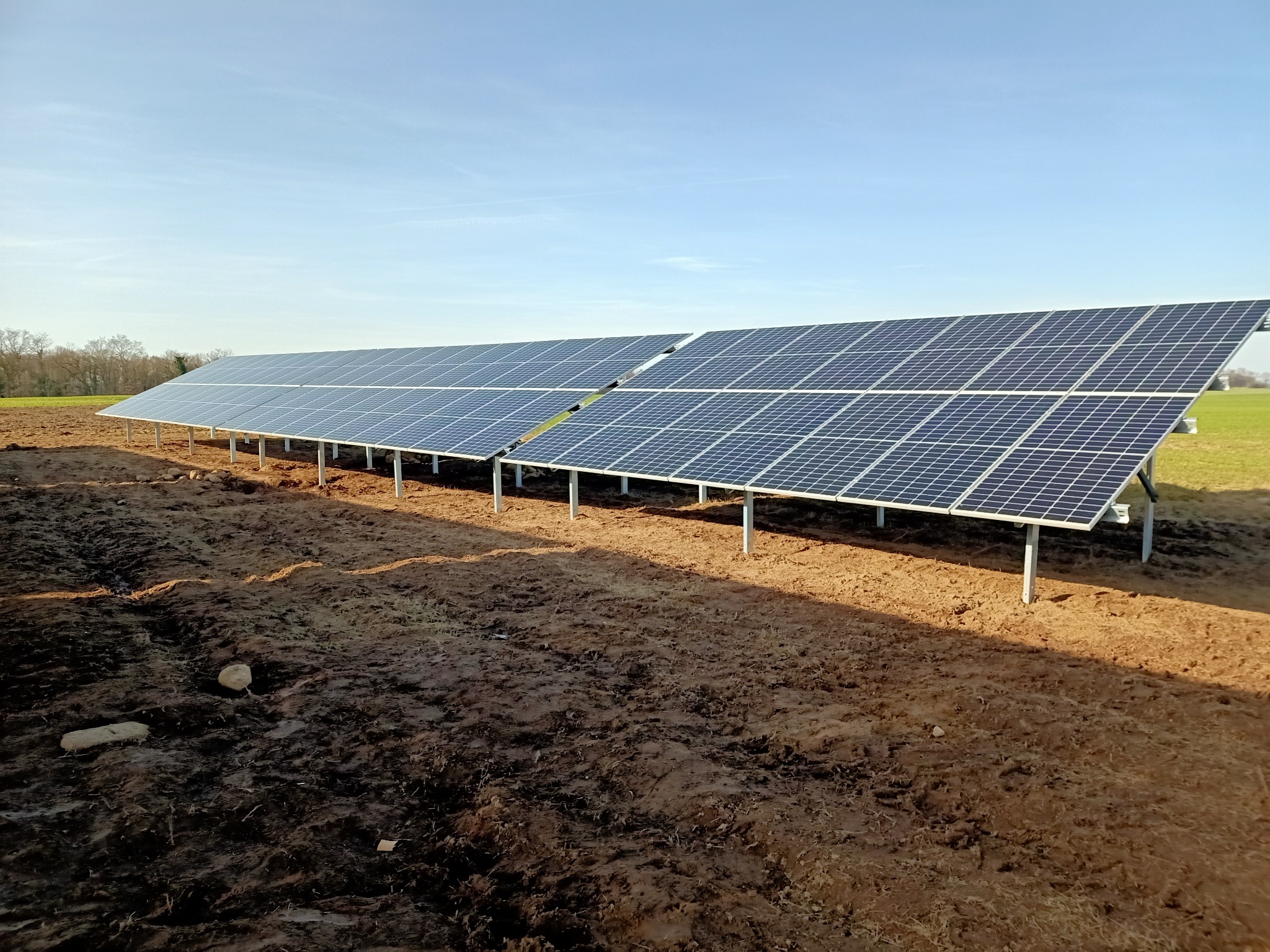 Dwa rzędy paneli fotowoltaicznych ustawione na polu z ziemią w kolorze ciemnego brązu, widoczne metalowe podpory, w tle drzewa i błękitne niebo.