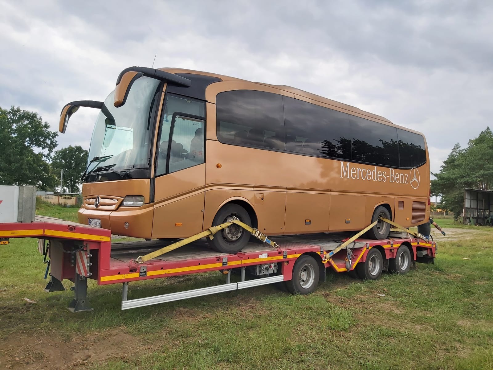 Złoty autokar Mercedes-Benz zabezpieczony pasami na czerwonej lawecie z żółtymi akcentami, transportowany po trawiastym terenie.
