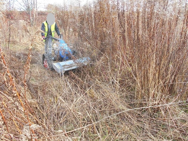 Operator w żółtej kamizelce tnie wysoką, suchą trawę za pomocą niebieskiej kosiarki samojezdnej z czerwonymi kołami na nierównym terenie.