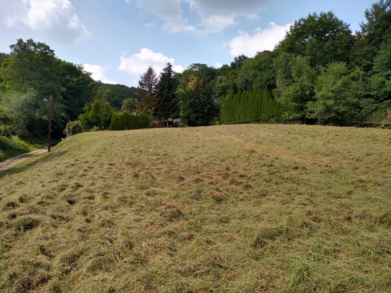Świeżo skoszone pole trawy na wzgórzu, z widoczną drogą gruntową po lewej stronie i drzewami w tle, w słoneczny dzień z lekkimi chmurami.