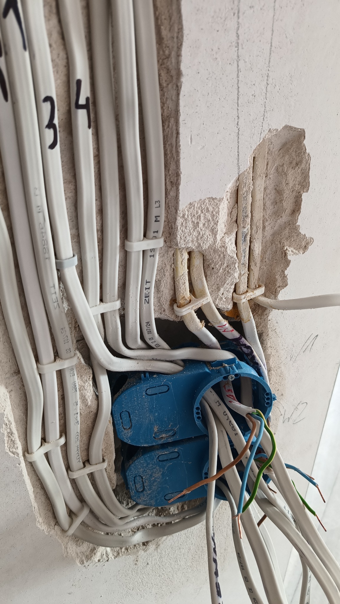 Ściana w trakcie prac elektrycznych z widocznymi przewodami oznaczonymi numerami, wchodzącymi do podwójnej niebieskiej puszki instalacyjnej, osadzonej w surowym tynku.