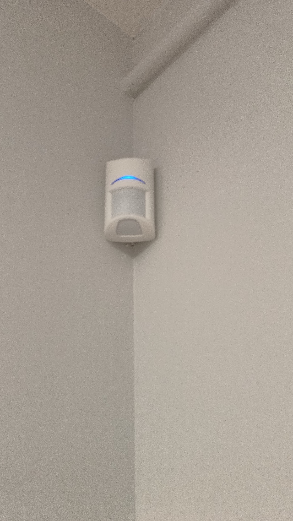 Biały czujnik ruchu z niebieską diodą LED zamontowany w rogu pomieszczenia na jasnoszarej ścianie.