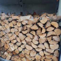 BIO-LAS - Sprzedaż Drewna Opałowego Kalisz Pomorski