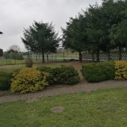 Czyszczenie ogrodu Po