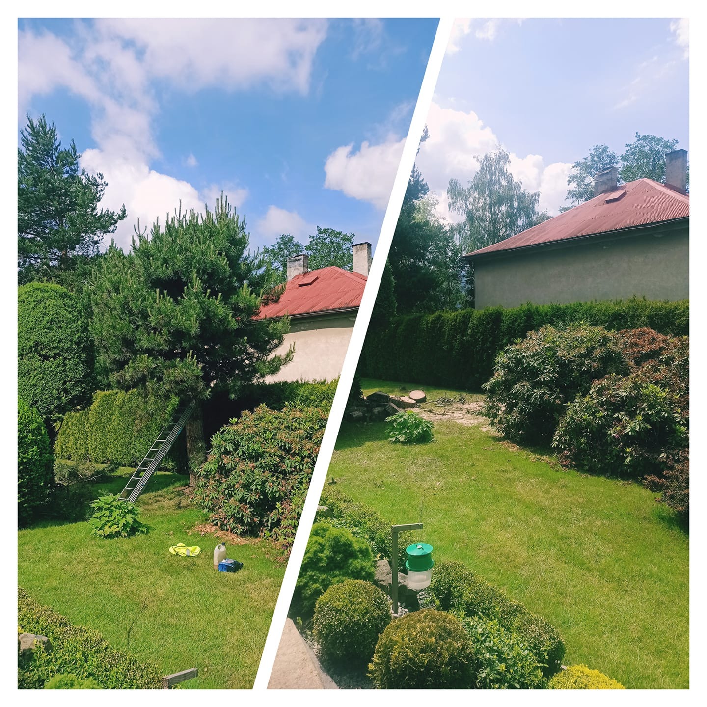 Podzielone zdjęcie ogrodu: po lewej stronie ogród przed pracami z drabiną opartą o drzewo, narzędzia na trawniku; po prawej stronie ogród po pracach, z uporządkowaną przestrzenią i widocznym...