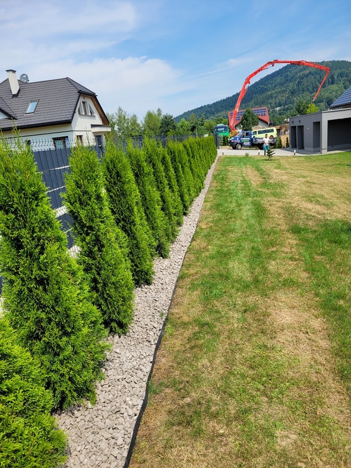 Równy szpaler młodych tuj posadzonych wzdłuż ogrodzenia, podsypanych drobnymi kamieniami, na tle domu i pompy do betonu na budowie.