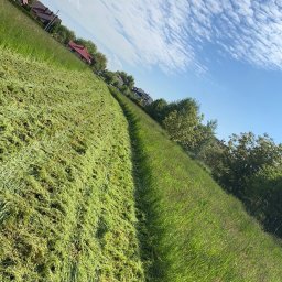 PBU SÓW-POL - Świeżo skoszona trawa na łące, widoczny pas skoszonej trawy i wysoka trawa po bokach, w tle domy jednorodzinne i błękitne niebo z chmurami.