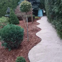 Ścieżka z jasnego kamienia wijąca się przez ogród z różnorodnymi krzewami i drzewami iglastymi, kora rozsypana wokół roślin, w tle widoczny zielony domek narzędziowy.