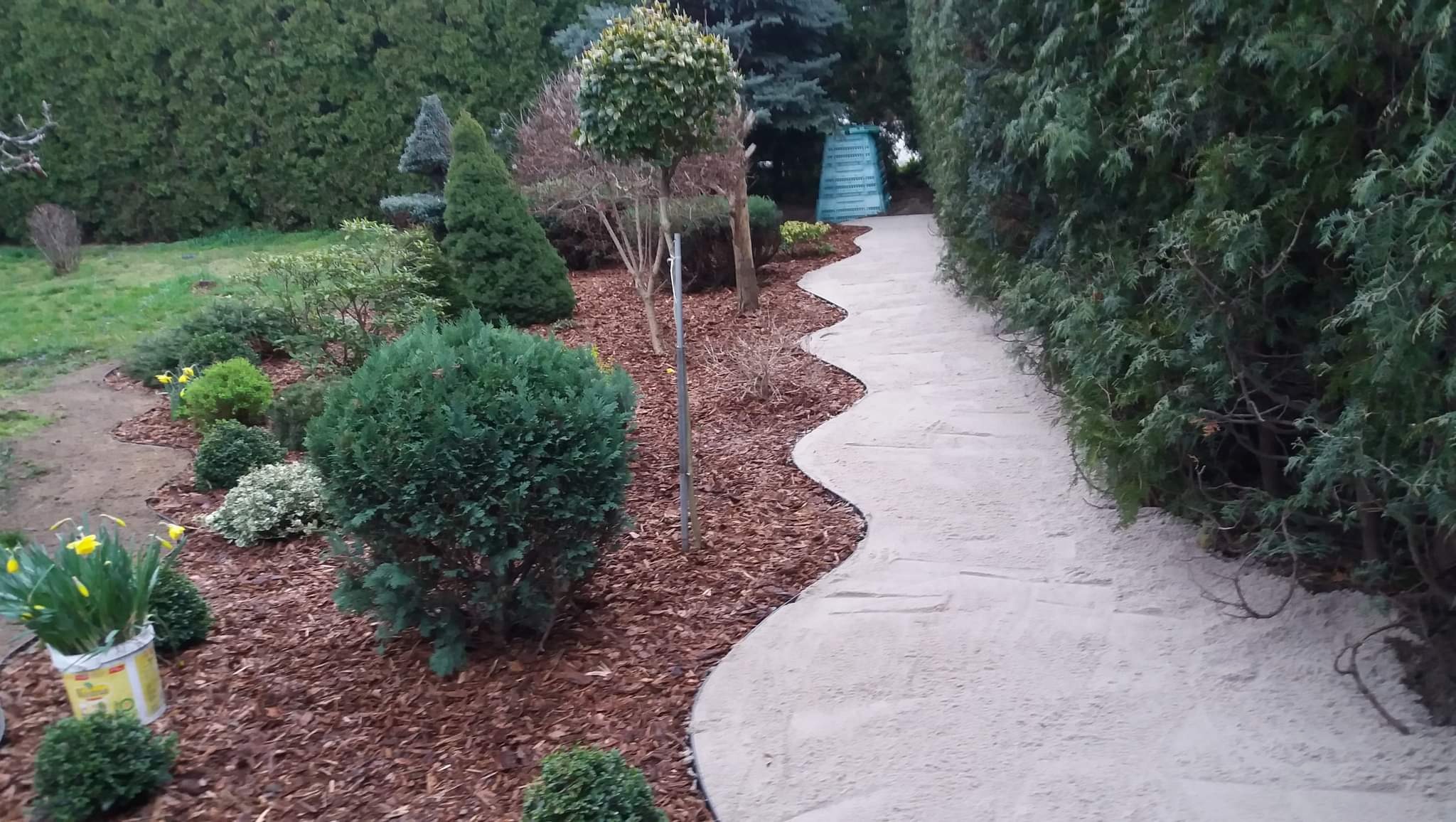 Ścieżka z jasnego kamienia wijąca się przez ogród z różnorodnymi krzewami i drzewami iglastymi, kora rozsypana wokół roślin, w tle widoczny zielony domek narzędziowy.