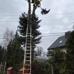 Usługi w ogrodzie Tarnów