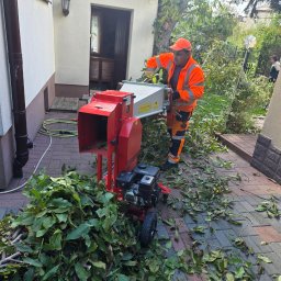 Mobilny Alpinista - Usługi Wysokościowe - Rębakowanie pozostałości po wycince