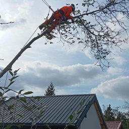 Mycie dachów Dąbrowa Tarnowska