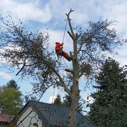 Mobilny Alpinista - usługi wysokościowe - Doświadczony Dekarz Dąbrowa Tarnowska