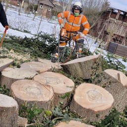 Prace wysokościowe Dąbrowa Tarnowska
