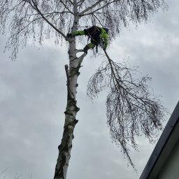 Mobilny Alpinista - Usługi Wysokościowe - Dekarz Dąbrowa Tarnowska