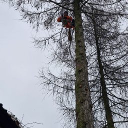Mycie dach&oacute;w Dąbrowa Tarnowska