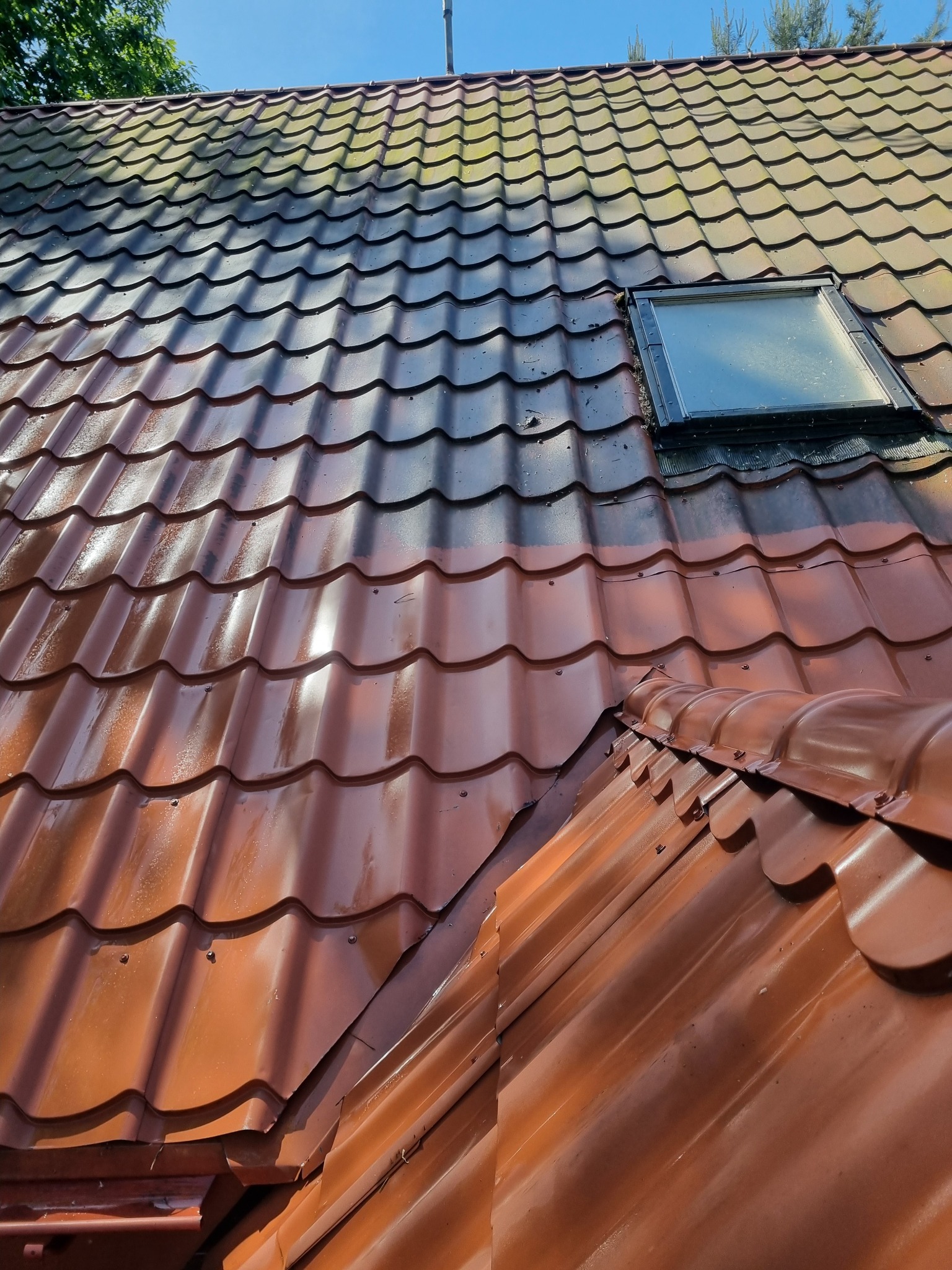 Częściowo umyty dach z brązowej blachodachówki, z widocznym oknem dachowym. Górna część dachu pokryta zielonym nalotem, dolna czysta i mokra od mycia.