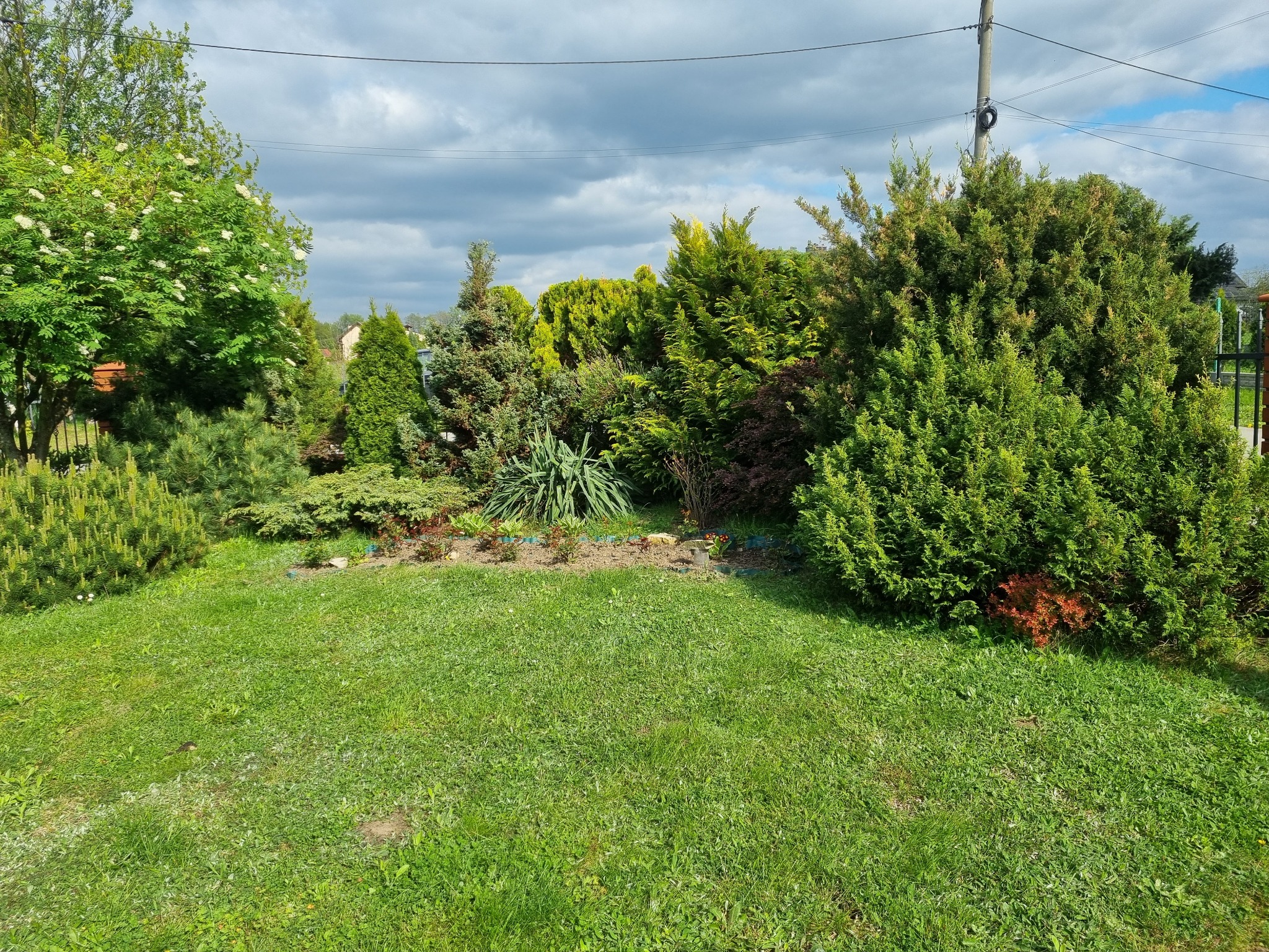 Zadbany ogród z równo przystrzyżonym trawnikiem, różnorodnymi krzewami iglastymi i rabatą kwiatową pod pochmurnym niebem.