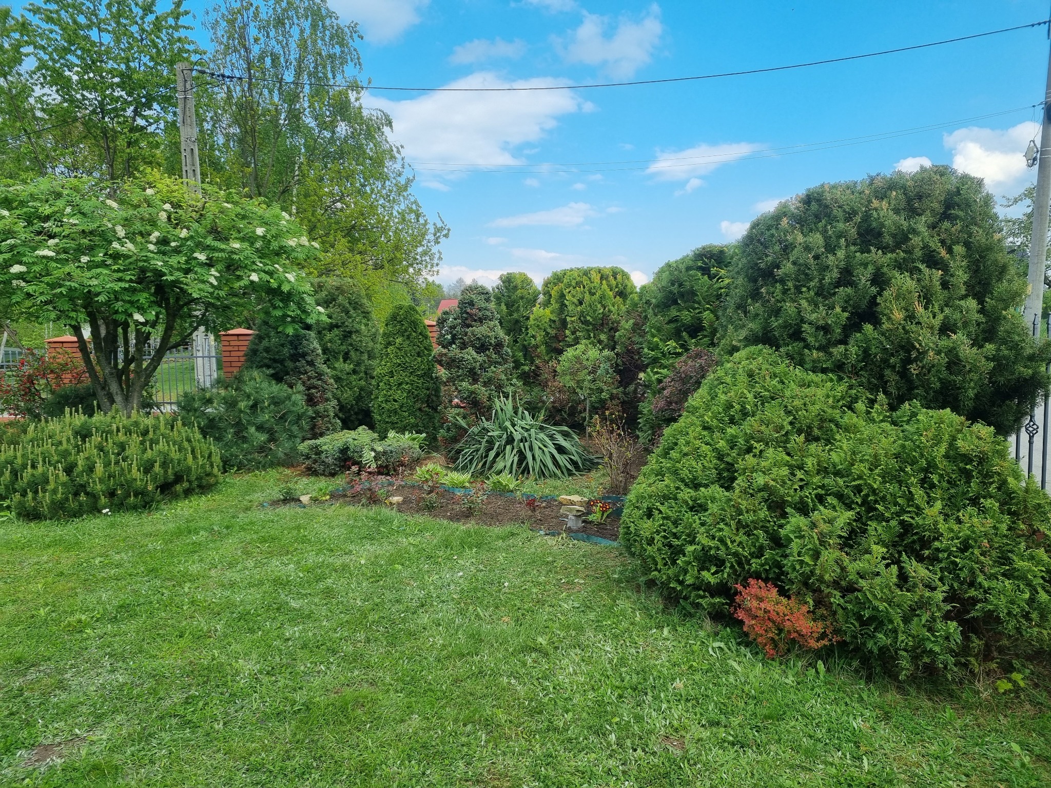 Zadbany ogród z równo przystrzyżonym trawnikiem i różnorodnymi krzewami ozdobnymi, w tle drzewa i błękitne niebo z chmurami. Widok na wypielęgnowany teren zielony.