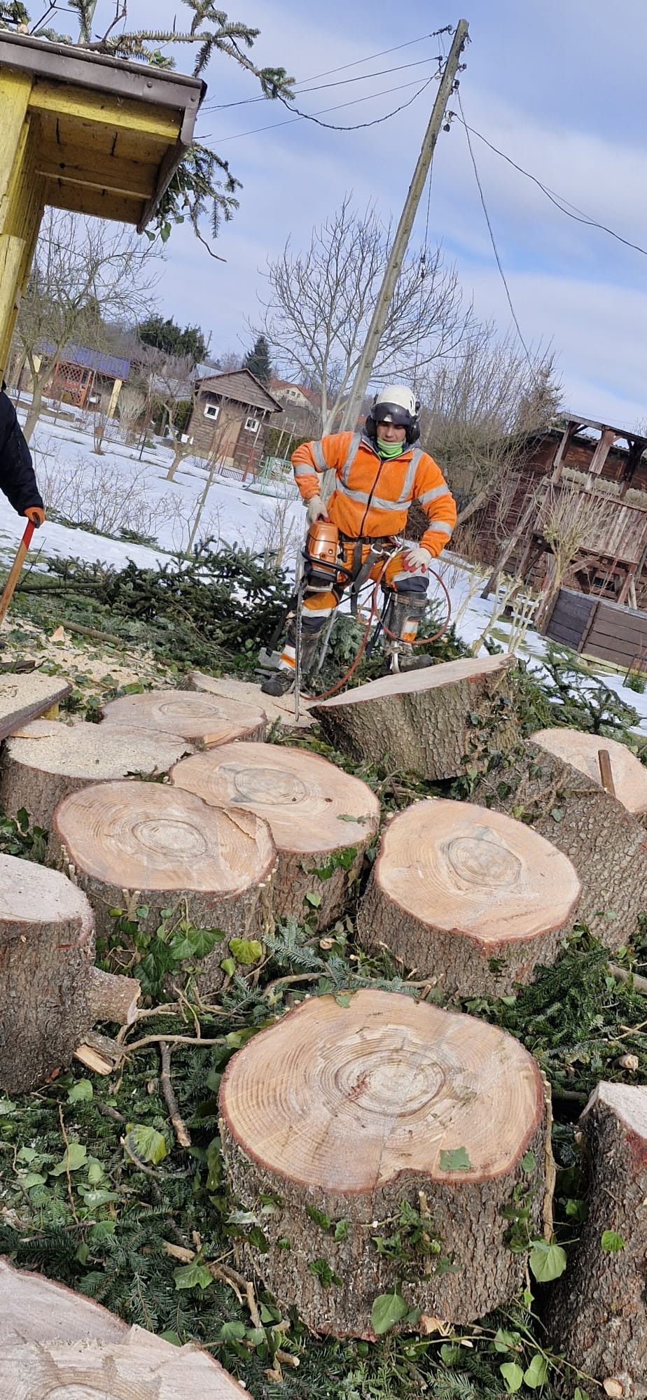 Pracownik w stroju ochronnym z piłą spalinową stoi obok pni drzew na tle zabudowań i resztek śniegu. Widoczne ścięte gałęzie i fragmenty drzew.