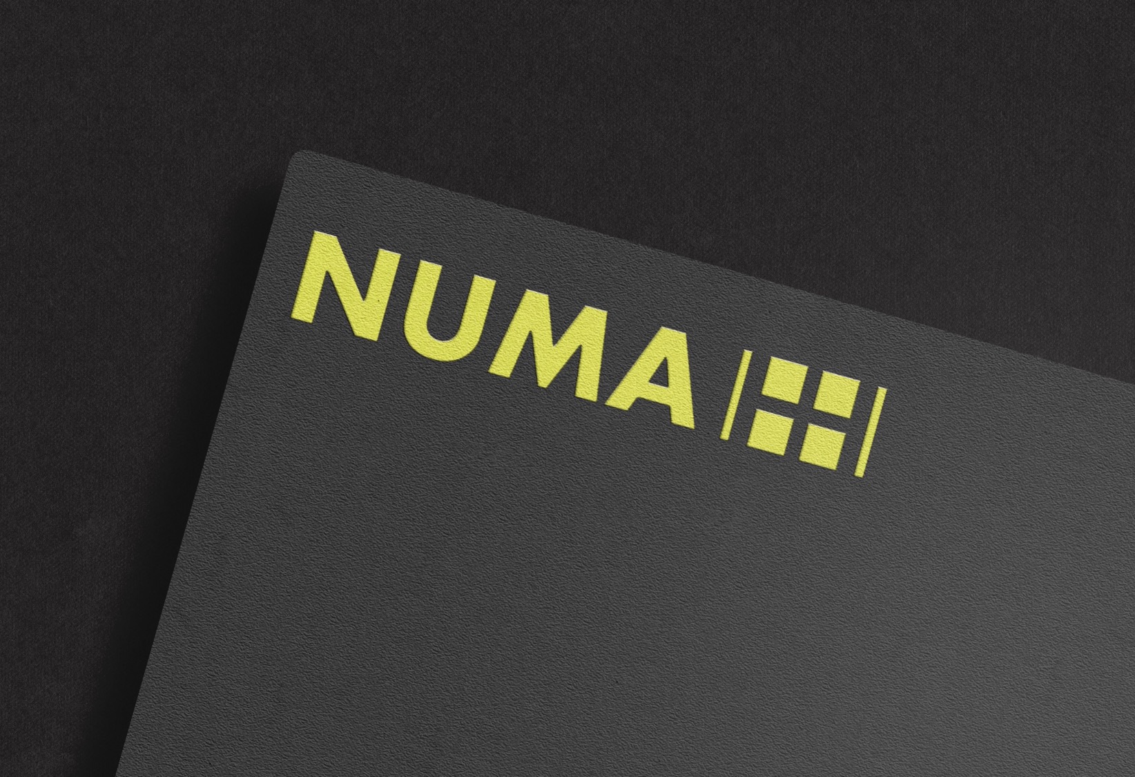 Czarny kartonik z żółtym logo 'NUMA' na teksturowanym tle.