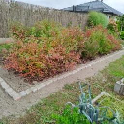 Krawężnik z kostki granitowej oddzielający rabatę z krzewami od ścieżki z piasku, w tle bambusowy płot i dom