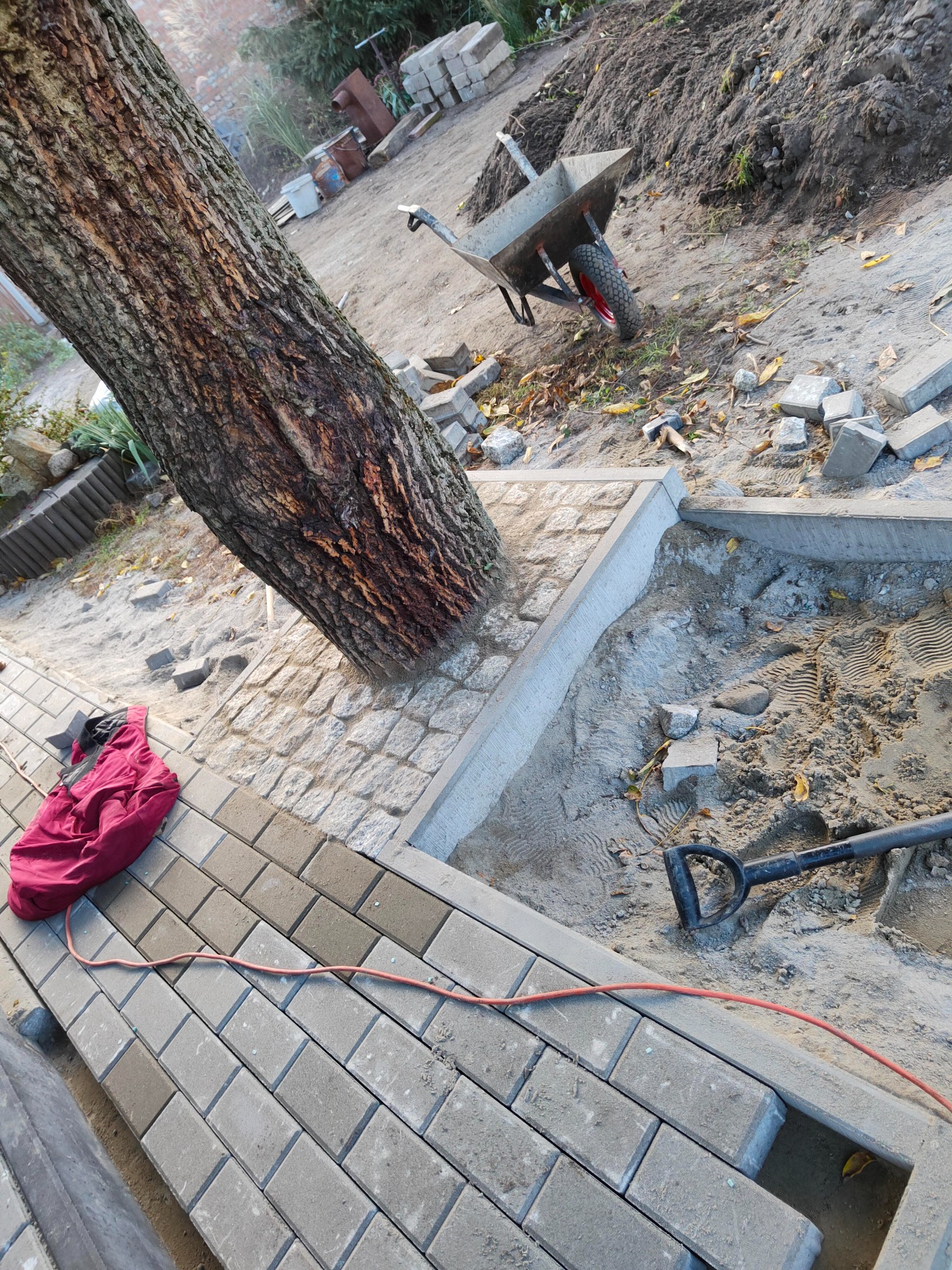 Fragment ścieżki z kostki brukowej w trakcie budowy, obudowana betonowym obrzeżem, z drzewem wkomponowanym w nawierzchnię, widoczna taczka i narzędzia.