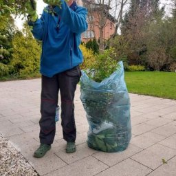 Diuneto - Osoba w niebieskiej bluzie i zielonych butach przycina krzewy w ogrodzie, obok worek wypełniony gałęziami, w tle dom z czerwonej cegły i zielony trawnik.