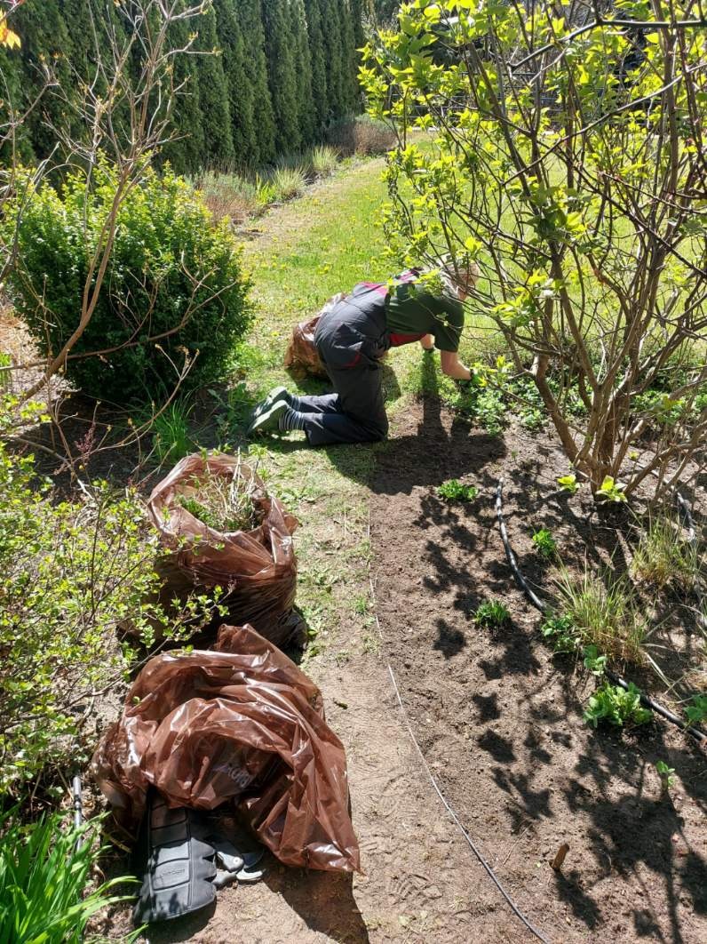 Osoba w kombinezonie ogrodniczym na kolanach, pielęgnująca rabatę w słonecznym ogrodzie, obok leżą worki z wyplewionymi chwastami i resztkami roślin.