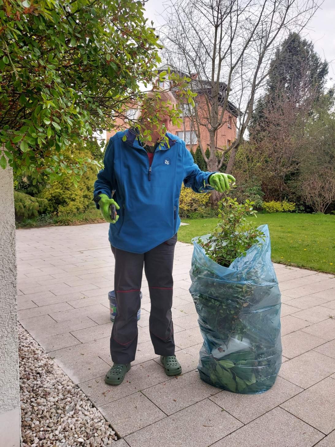 Osoba w niebieskiej kurtce i zielonych rękawicach ogrodowych przycina krzew, wrzucając gałązki do niebieskiego worka na śmieci na tle zadbanego ogrodu z domem w oddali.
