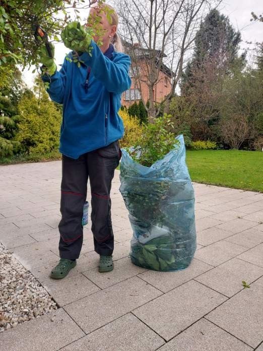 Osoba w niebieskiej bluzie i zielonych butach przycina krzewy w ogrodzie, obok worek wypełniony gałęziami, w tle dom z czerwonej cegły i zielony trawnik.