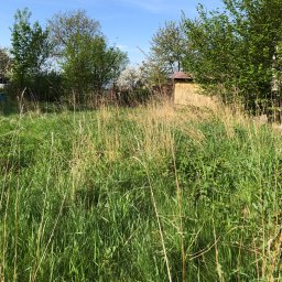 Pielęgnacja ogrodów Oświęcim 1