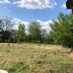 Trawa skoszona na działce z drzewami w tle, widok z boku budynku z anteną satelitarną.