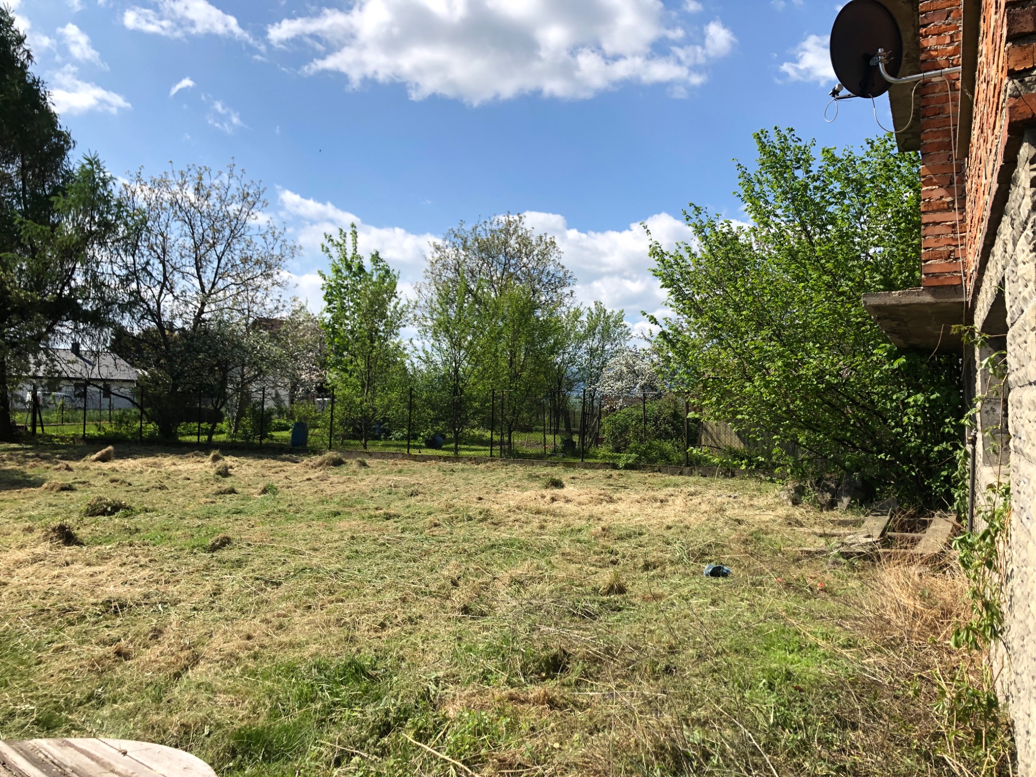 Trawa skoszona na działce z drzewami w tle, widok z boku budynku z anteną satelitarną.